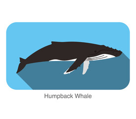 Humpback Whales swimming in the sea, animal flat icon