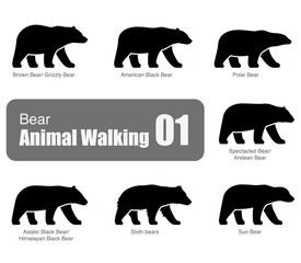 American black bear walking side flat 3D icon design, vector illustration