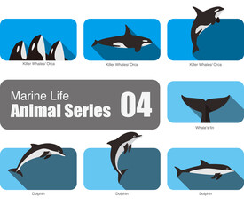 Marine life cartoon collection, vector, killer whale, orca, dolphin, vector illustration © hakule