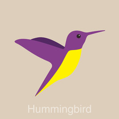 Hummingbird, bird series, flat icon