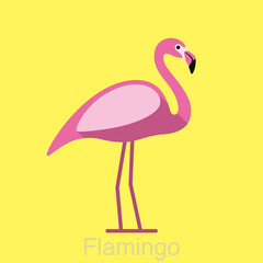 Beautiful flamingo bird series, vector flat icon