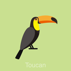 Toucan bird series, vector flat icon