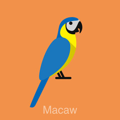 Blue Macaw, bird series, flat icon