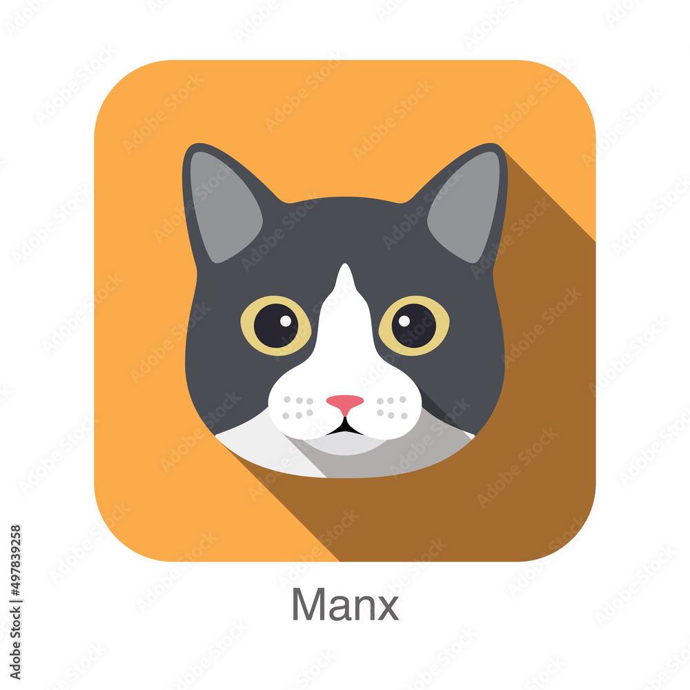 Sticker manx cat, cat breed face cartoon flat icon design