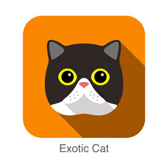 Exotic Cat, Cat breed face cartoon flat icon design