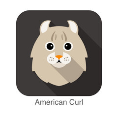 American Curl Cat, Cat breed face cartoon flat icon design
