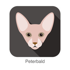 Peterbald Cat, Cat breed face cartoon flat icon design
