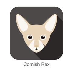 Cornish Rex Cat, Cat breed face cartoon flat icon design