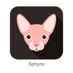 Sphynx, Cat breed face cartoon flat icon design