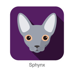 Sphynx, Cat breed face cartoon flat icon design