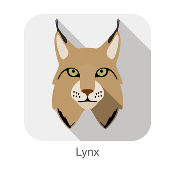 Lynx, Cat Breed Face Cartoon Flat Icon Design