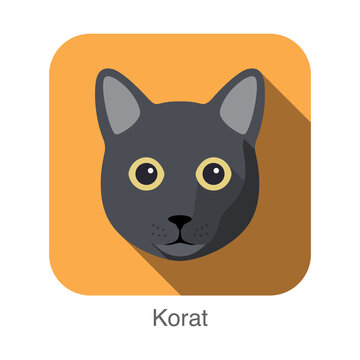 Korat Cat, Cat breed face cartoon flat icon design