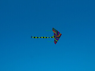 Kite flying day. It is celebrated on February 8. Colored kite against blue sky at sunset. Concept of spending great time at summer. Flying kite with an hangs in air. Childhood. Freedom