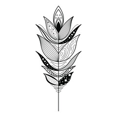 Abstract Doodle Elements Hand Drawn Collection Birds Feather Ornate Elements Vector Desgin Style