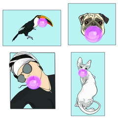 Vector Illustration of fashion set for t-shirts. The emblem of a pug, a toucan, a girl, a sphinx blank for a designer © Anastasiia