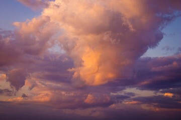 Cotton Candy