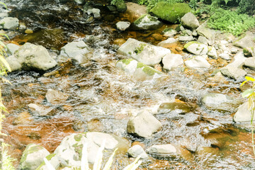 Small Stream, Toba, 2022