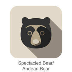Spectacled bear face flat icon design. Animal icons series.