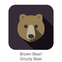 Brown bear face flat icon design. Animal icons series.