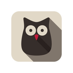 Owl bird flat icon series