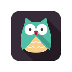 Owl bird flat icon series