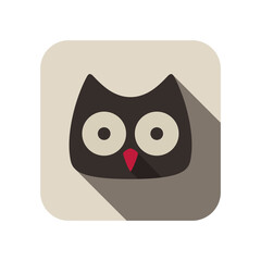 Owl bird flat icon series