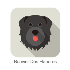 Bouvier Des Flandres dog face flat icon, dog series