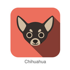 Chihuahua animal face flat icon
