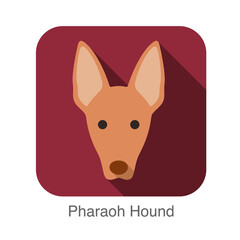 Pharaoh Hound dog face flat icon