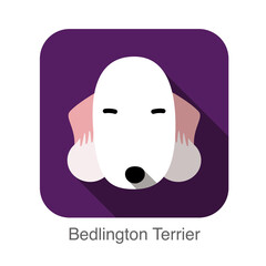 Bedlington Terrier dog face flat icon