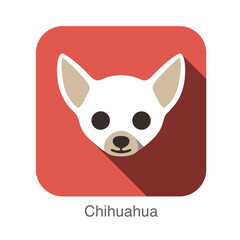 Chihuahua animal face flat icon