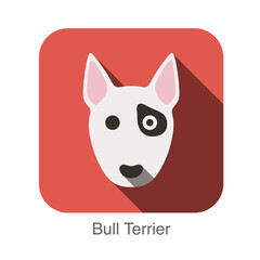 Bull terrier dog, animal face ui flat design, vector
