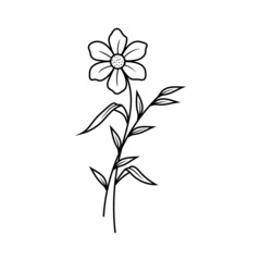 Fototapeta na wymiar Floral line art illustration design vector isolated