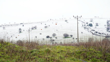 Obraz premium Hills covered with snow in Golan Heights ,Israel. Snow laying over green grass.