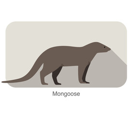 simple mongoose standing and watching, vector illustration