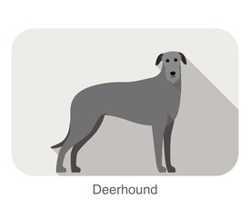 deerhound standing an watching, flat icon design, vector illustration