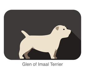 Glen of imaal terrier standing and watching flat icon design