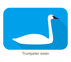 trumpeter swan, cartoon flat icon vector illustration