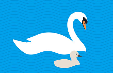 swan baby swimming in the lake with its mother, vector illustration