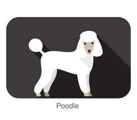 Poodle standing and watching, side view cartoon, vector illustration