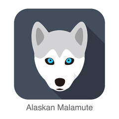 Siberian Husky baby's face, Alaskan Malamute vector illustrator