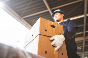 仕分け作業をする男性