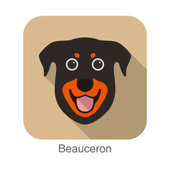 Beauceron dog face portrait flat icon design, vector illustration