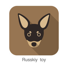 russkiy roy dog face portrait flat icon design, vector illustration
