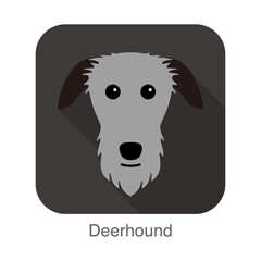deerhound dog face portrait flat icon design, vector illustration