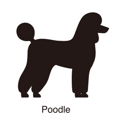 Poodle dog silhouette, side view, vector illustration