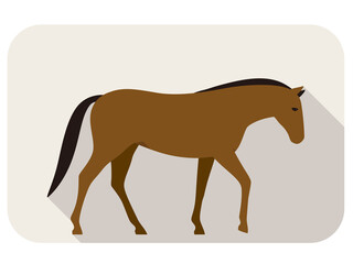 animal horse series flat icon, walking vector illustration