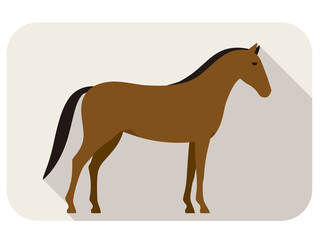 animal horse series flat icon, standing vector