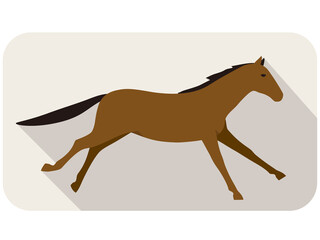 animal horse series flat icon, running, vector illustration