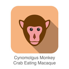 cute Cynomolgus monkey, crab eating macaque face flat icon design, vector illustration